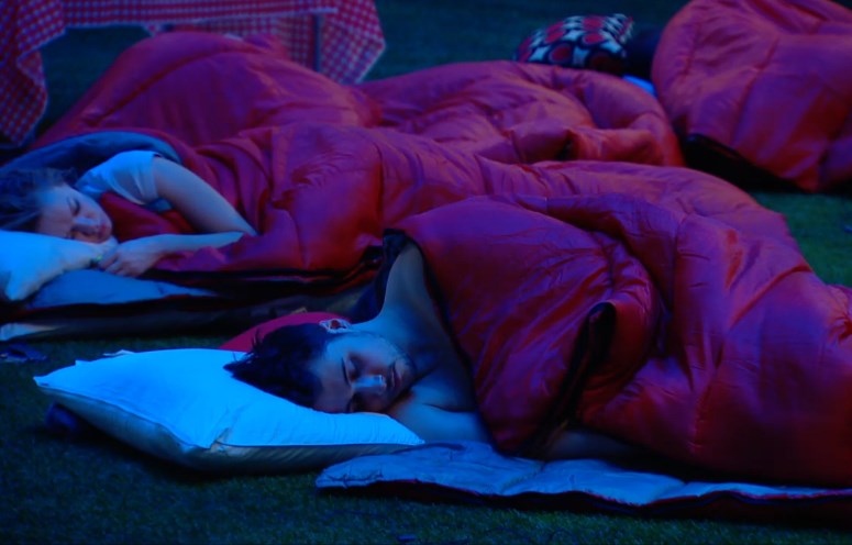 HGs sleeping in the backyard