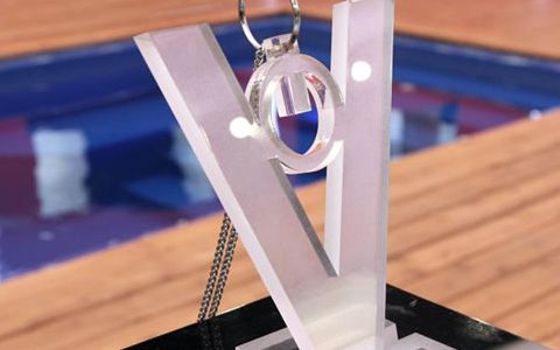 Big Brother Canada Power of Veto