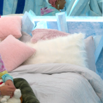 Big Brother Canada 9 Victoria