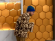 Big Brother Canada 12-Elijah